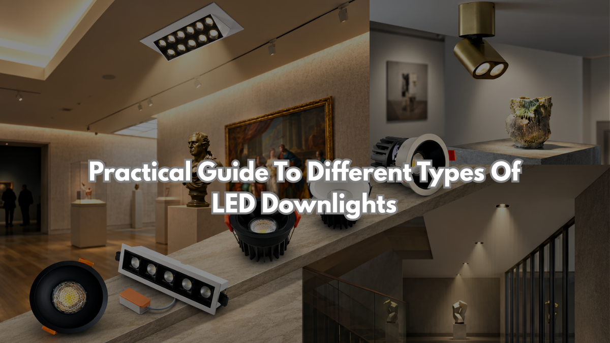 Practical guide to different types of LED downlights featuring recessed, surface, adjustable, and multi-light downlight fixtures displayed in a modern architectural lighting environment.