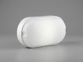 Oval Bulkhead Light, LED outdoor wall light for corridors and exteriors
