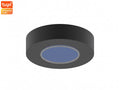 SL-R400M circular artificial skylight with moving sun